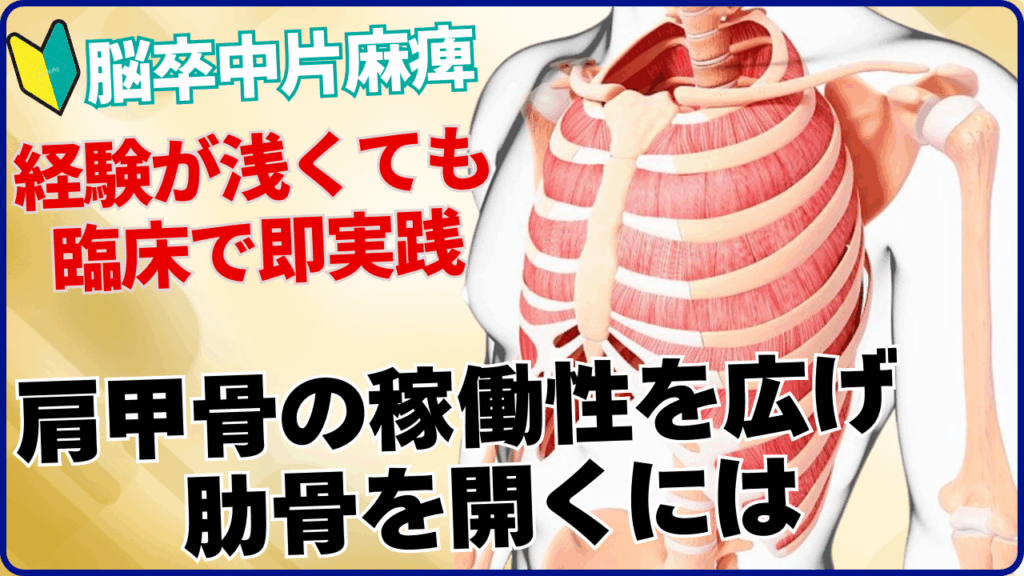 現在の画像に代替テキストがありません。ファイル名: リハビリ職人育成講座-始めます.png