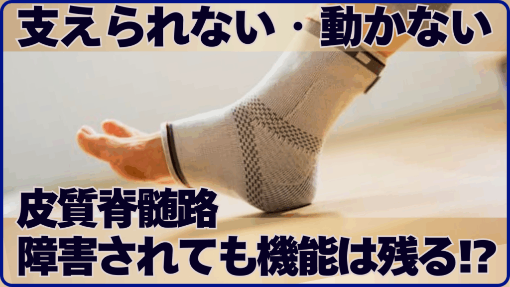 現在の画像に代替テキストがありません。ファイル名: リハビリ職人育成講座-始めます-4.png