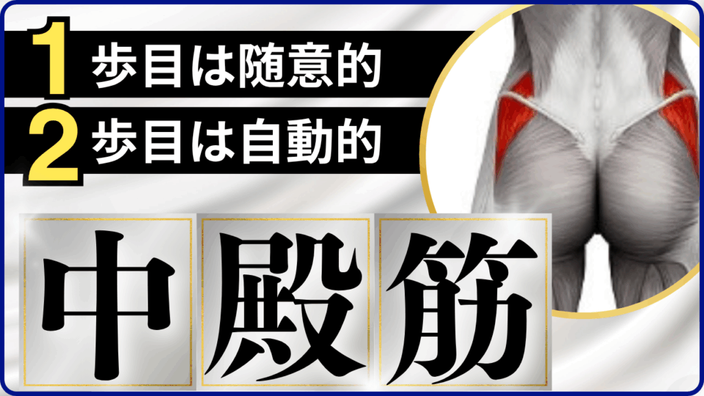 現在の画像に代替テキストがありません。ファイル名: リハビリ職人育成講座-始めます-5.png